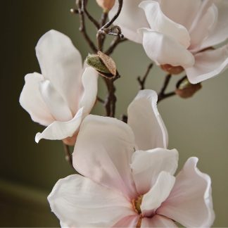 Magnolia Willow Hand Wash Refill