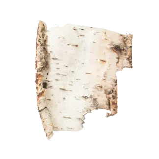 Woodland Spruce Classic Reed Diffuser