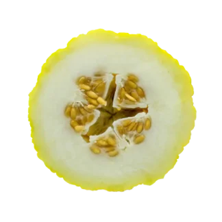 Paloma Melon Pura Smart Device Refill