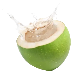 Jungle Bloom Classic Candle