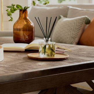 Frasier Fir® Pine Needle Favorites Trio