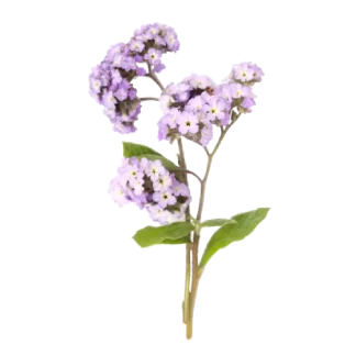 French Lilac Pura Smart Device Refill
