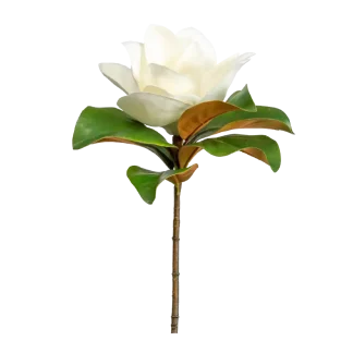 Star Magnolia Pura Smart Device Refill